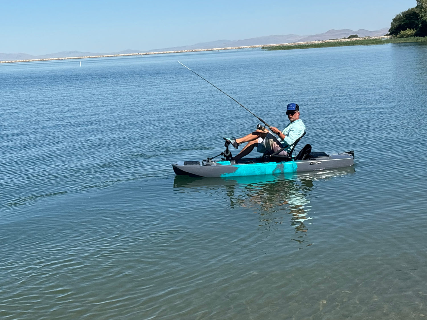 Bull Shark Solo