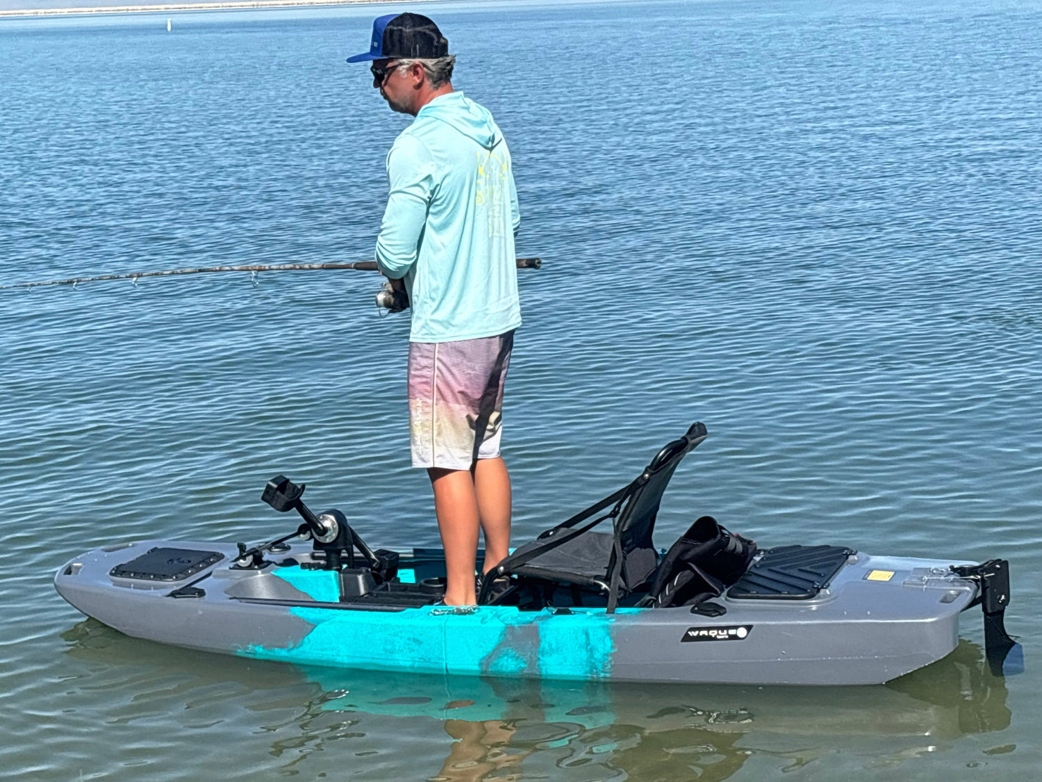 Bull Shark Solo