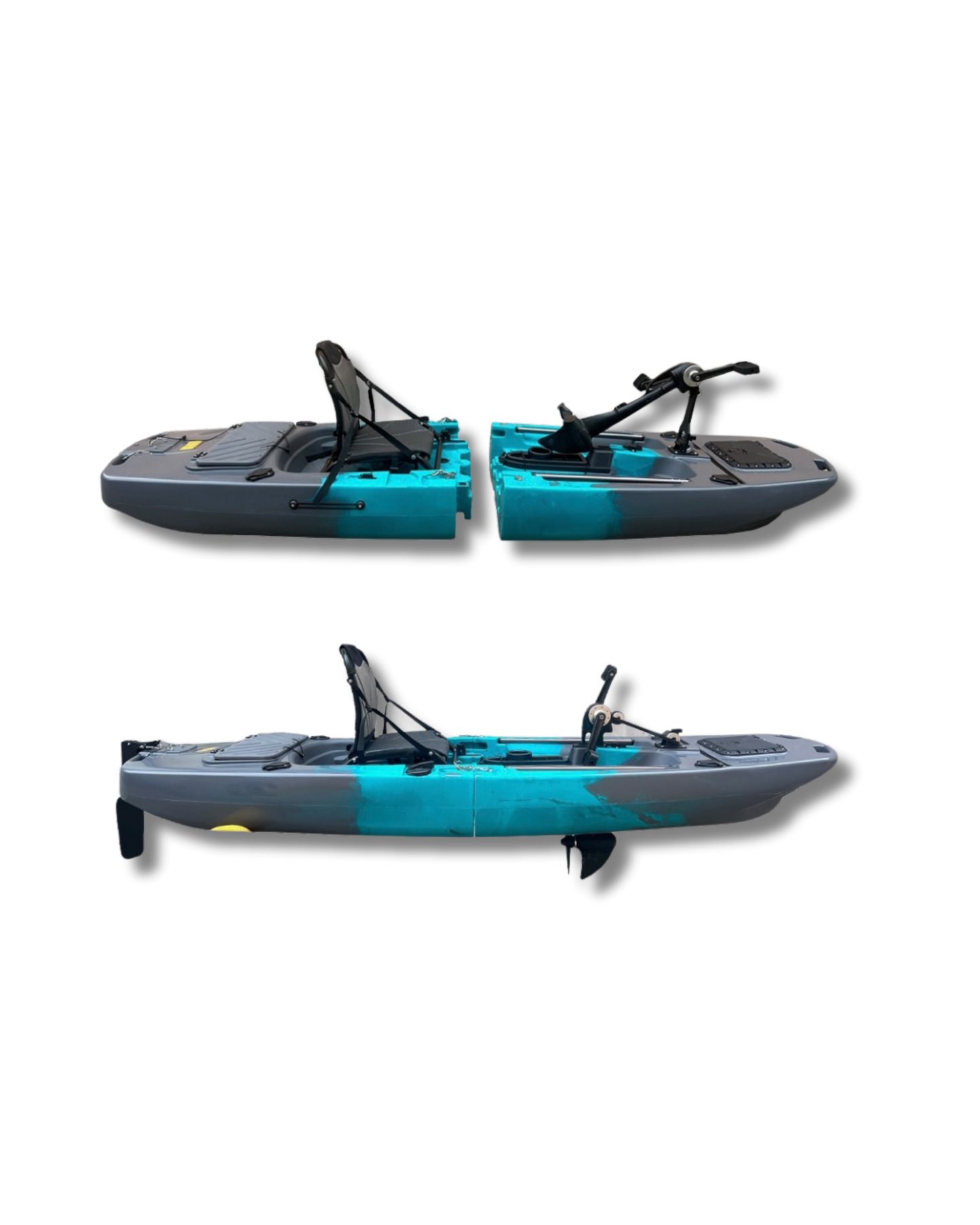 Bull Shark Solo