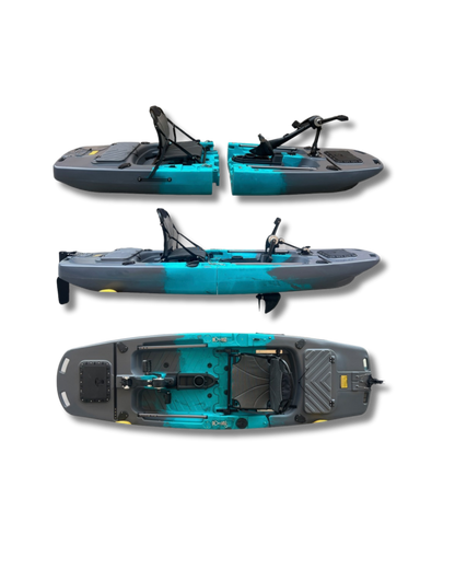 Bull Shark Solo