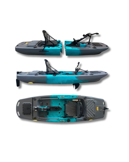 Bull Shark Solo